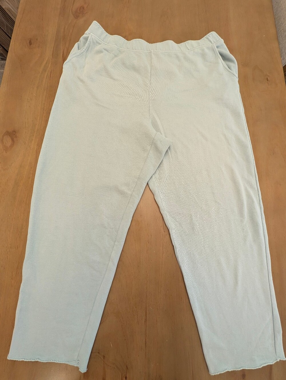 Gap Sweats Wide Leg Baggy French Terry Sweatpants Ankle Length Arctic Air XL